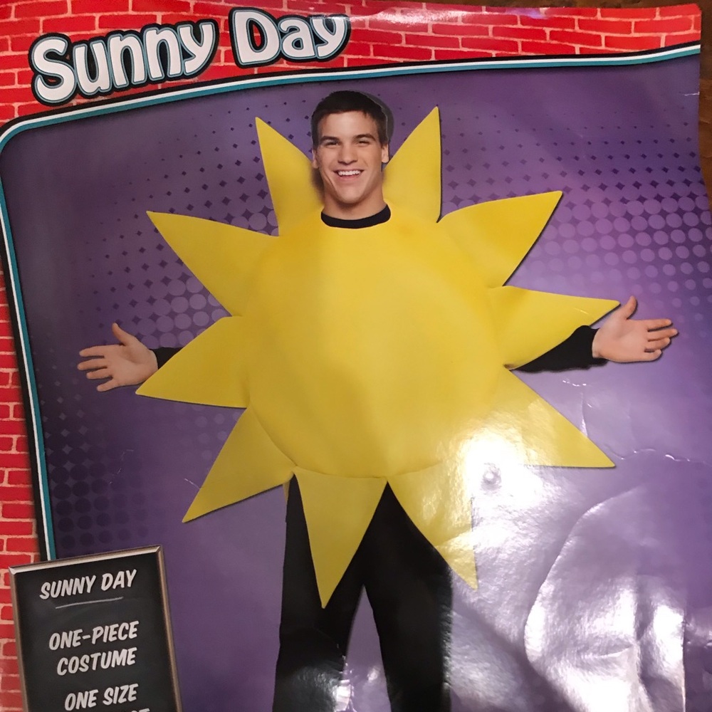 Sunny Day Halloween Costume